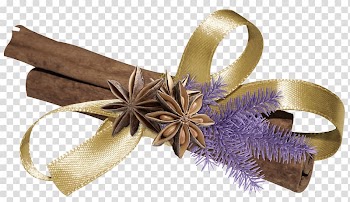 Ribbon, Ribbon bark transparent background PNG clipart
