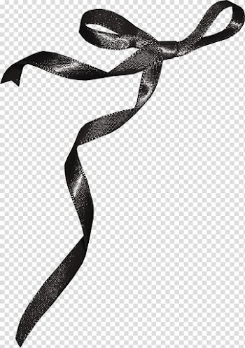 Ribbon, ribbon bow transparent background PNG clipart