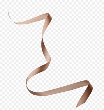 Ribbon Satin Silk - Brown satin ribbon decoration pattern 