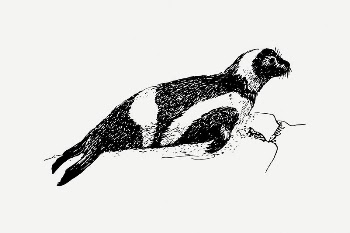 Ribbon seal clipart, vintage animal | Free PSD Illustration - rawpixel