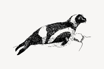 Ribbon seal drawing, vintage animal | Free Vector Illustration - rawpixel