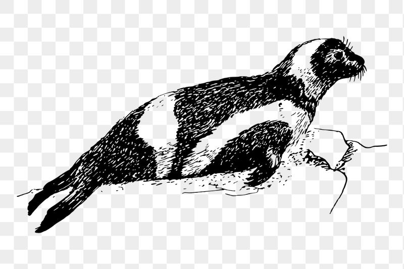 Ribbon seal png sticker, vintage | Free PNG - rawpixel
