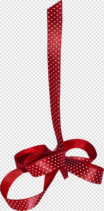 Ribbon Shoelace knot , Bow transparent background PNG clipart