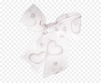 Ribbon Shoelace knot - Love transparent white ribbon bow 