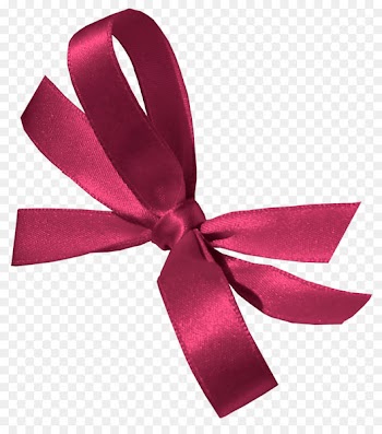 Ribbon Shoelaces Shoelace knot Fashion - ribbon 