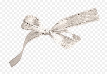 Ribbon Textile Shoelace knot - Brown ribbon bow 
