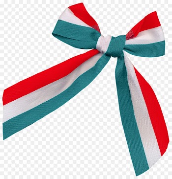 Ribbon Tricolour - Tricolor bow 