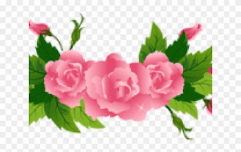 Ribbons Clipart Divider - Pink Flower Border Png
