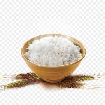 Rice cooker Tangyuan Cooked rice - rice 