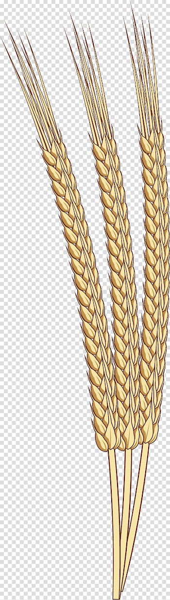 Rice Harvest Oat Autumn, Autumn harvest rice transparent background PNG clipart