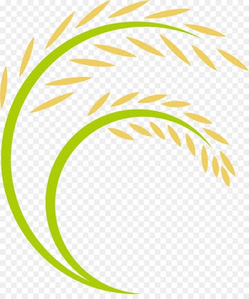Rice Logo - Cartoon rice ears 