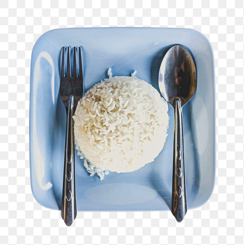 Rice on blue plate png | Free PNG - rawpixel