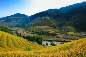 Rice Terraces