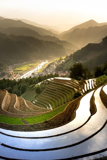 Rice Terraces