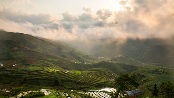 Rice Terraces, Philippines
