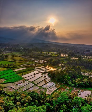 Rice Terraces Under Cloudy Sky