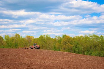 Richard Eaves of Oak Bluff | Free Photo - rawpixel