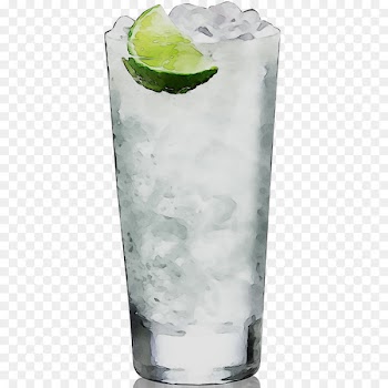 Rickey Vodka tonic Gin and tonic Cocktail Highball -  