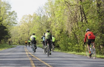 Ride the Drive, cycling event | Free Photo - rawpixel
