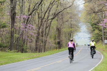 Ride the Drive, cycling event | Free Photo - rawpixel