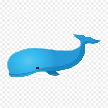 Right whales Blue whale - whale 