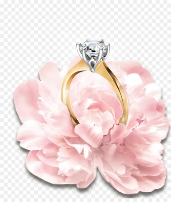 Ring Gemstone Wedding Ceremony Supply Clothing Accessories Jewellery - ring 