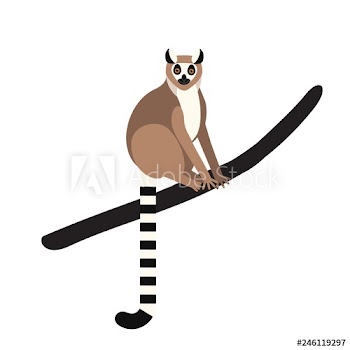Ring-tailed lemur sitting on tree branch isolated on white background