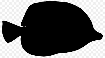 Rinkaifureai Park, Summer Vacation, Independent Study, Line, Flatfish PNG