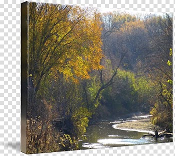Riparian zone River Bayou Nature reserve Water resources, painting transparent background PNG clipart