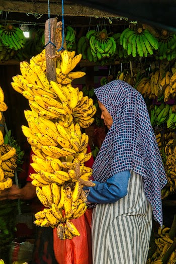 Ripe Bananas