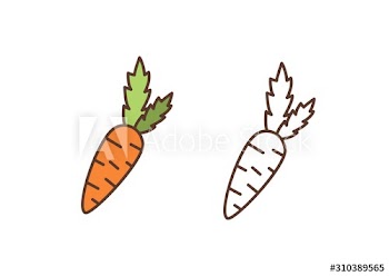 Ripe carrot linear vector icon