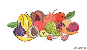 Ripe juicy tropical fruits lying together isolated on white background - tamarillo, passion fruit, mentega, fig, carambola, feijoa, papaya, longan, rambutan