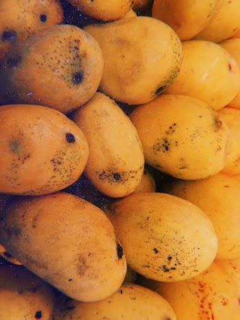 Ripe Mangoes