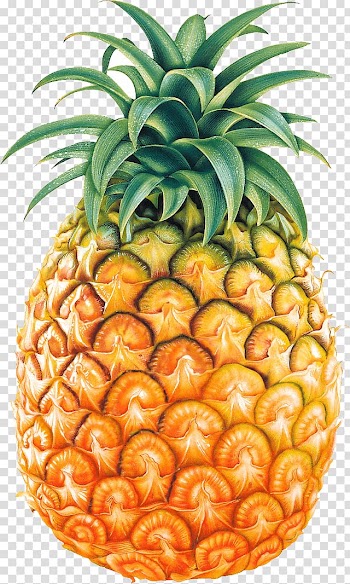 Ripe pineapple art, Pineapple Fruit , Pineapple Fruit transparent background PNG clipart