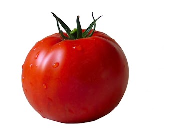 ripe_tomato2.jpg