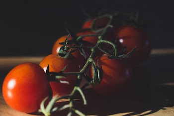 Ripe Tomatoes