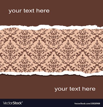 Ripped paper vector image