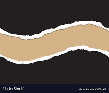 Ripped paper vector image