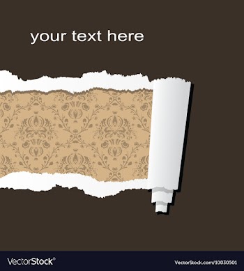 Ripped paper vector image