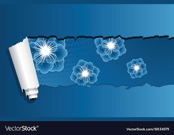 Ripped paper vector image