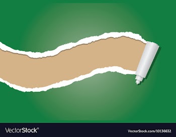 Ripped paper vector image