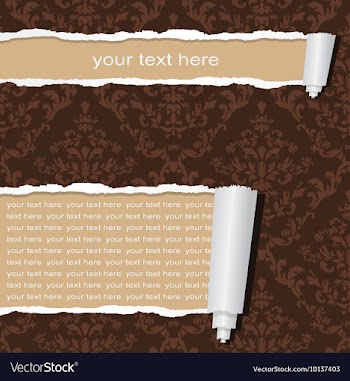 Ripped paper vector image