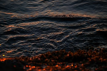 Rippling Body of Water