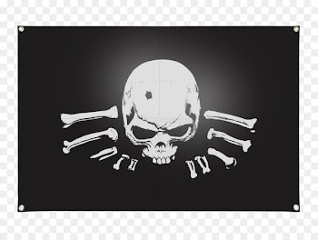 Risen 2: Dark Waters Risen 3: Titan Lords Video Games PlayStation 3 - asasin banner 
