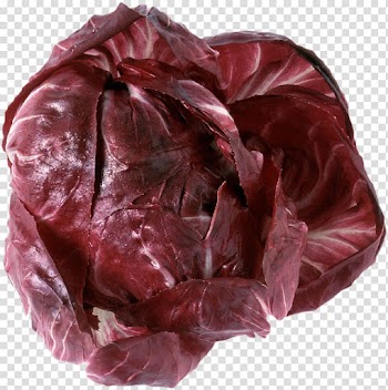 Risotto Chicory Red cabbage Vegetable , Purple cabbage transparent background PNG clipart