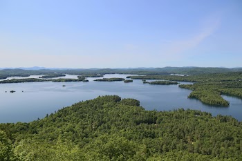 River and Forest
