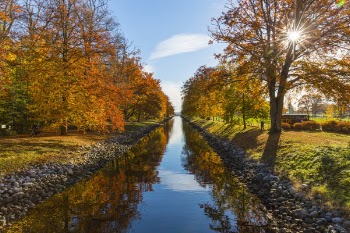 River Between Brown Leafed Trees during Daytime