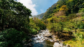 River Between Trees