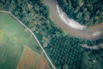 River Between Trees in Aerial Photography