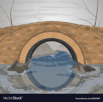 River bridge vector image